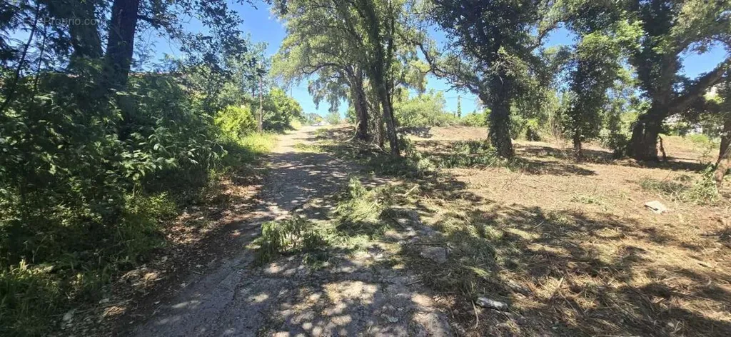 Garden - Buildable Land with Viability in Prunelli di Fiumorbo