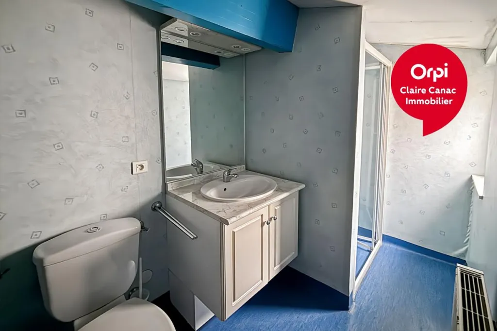 Salles de bain - Appartement Duplex Lumineux en Centre-Ville