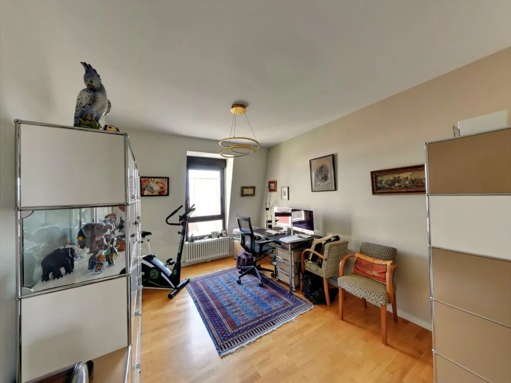 Studio - Luxury Penthouse with Rooftop in Lyon 4ème