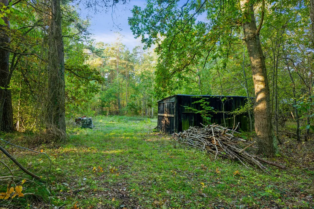 Jardin - Holiday Home Plot with Forest and Beach Access in Stege
