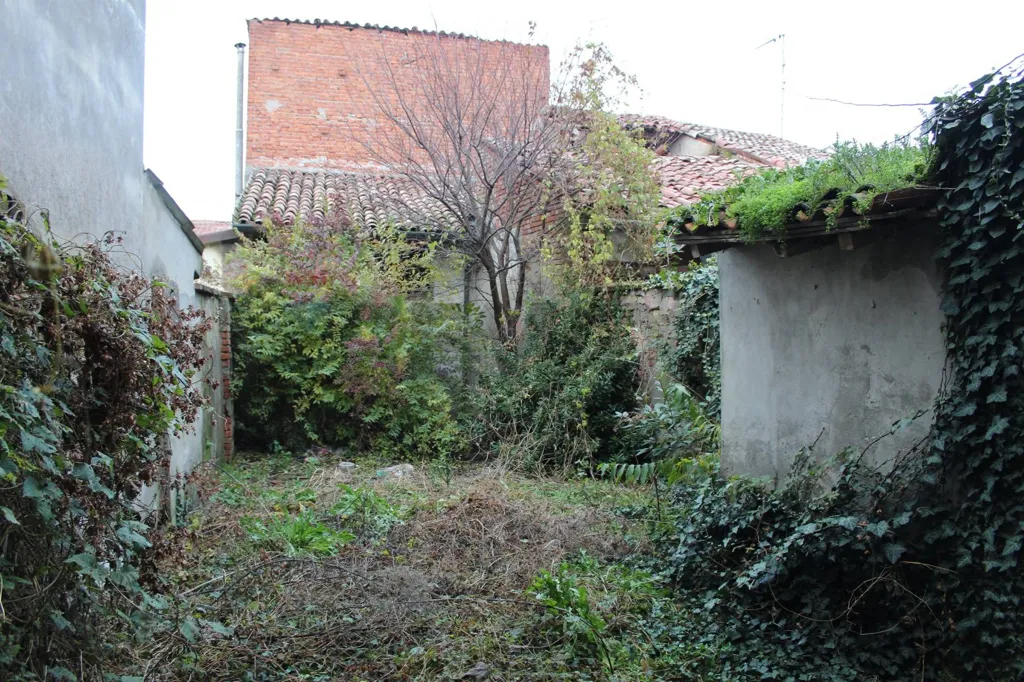 Jardin - Terrace Villa in Commessaggio