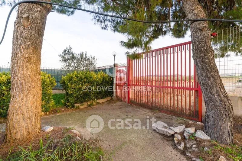Jardin - Villa with Pool in Contrada Tufarelle, Andria