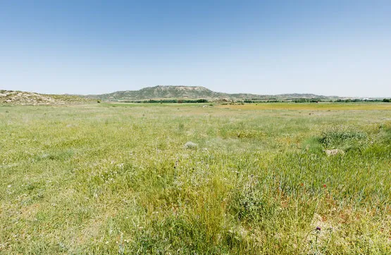 Garden - Development Land in Luna, Zaragoza