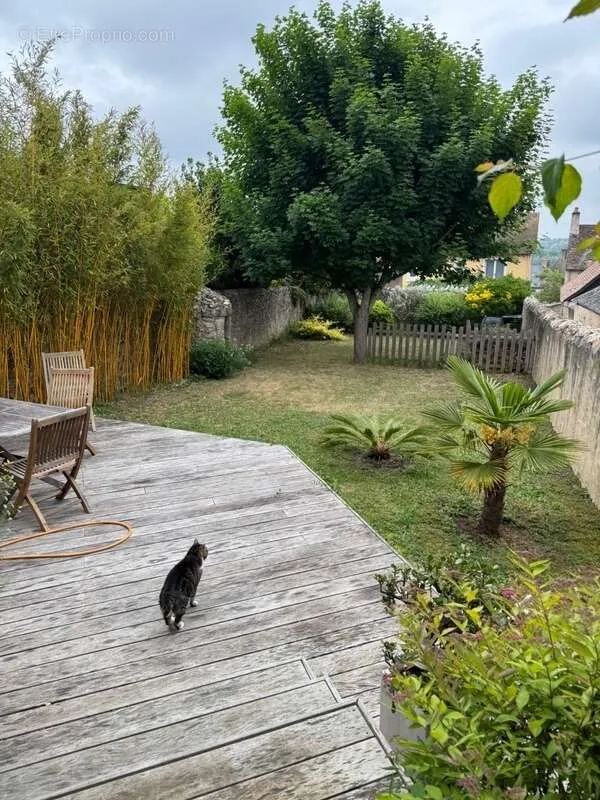 Jardin - Immeuble de Rapport en Centre-Ville à Parigné-l'Évêque