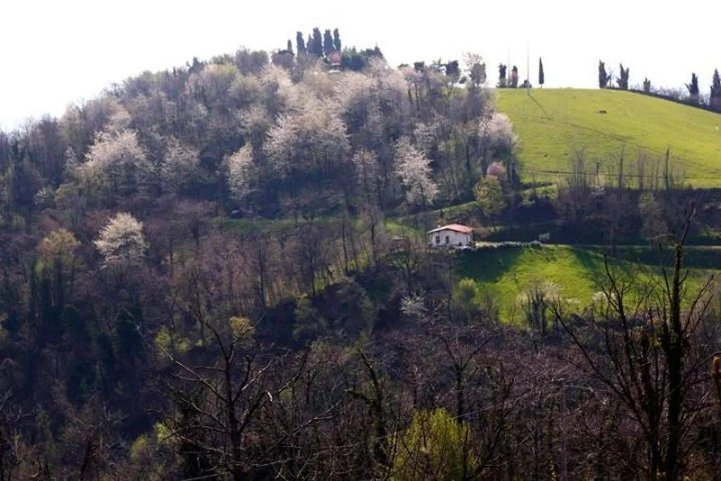 Aed - Luxury Villa with Private Park in Sasso Marconi