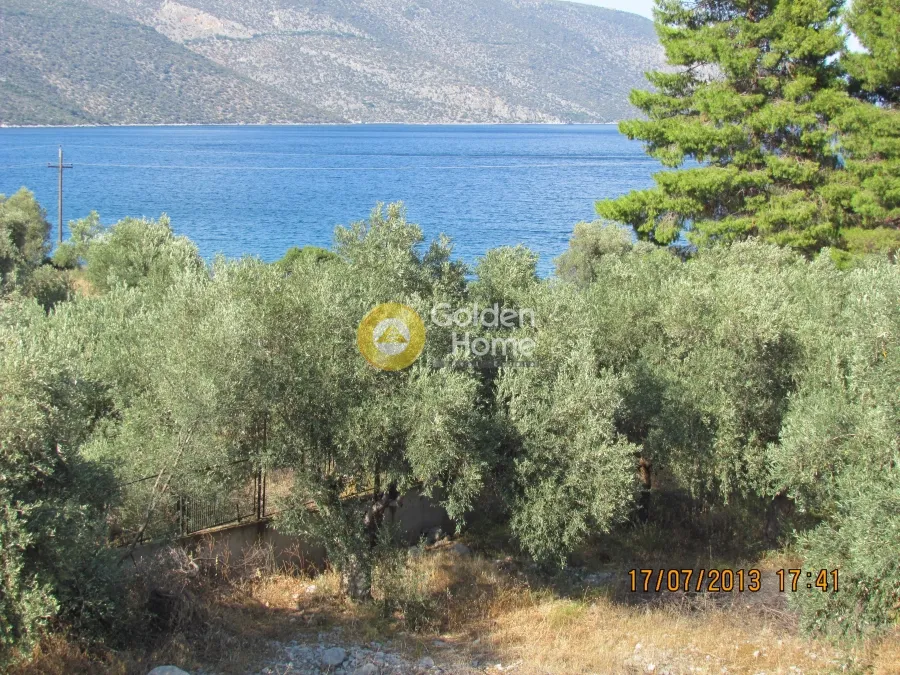 Aed - Plot with Olive Trees in Skroponéri, Boeotia