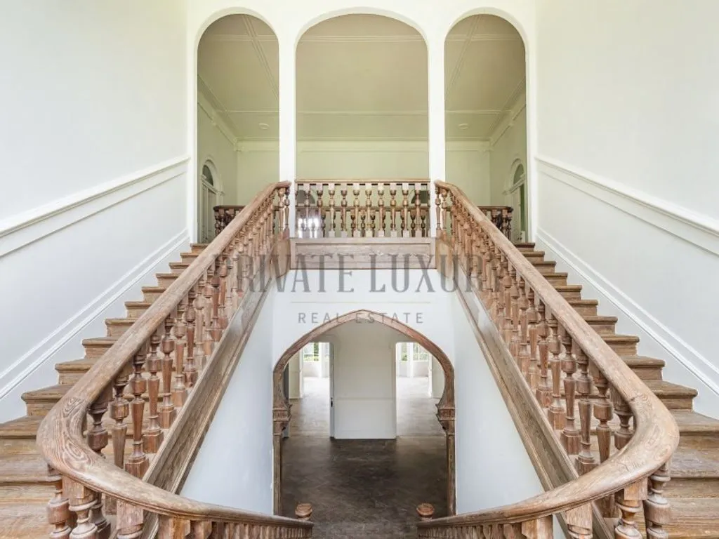 Toad - Historic Quinta with 100 Hectares in Sintra