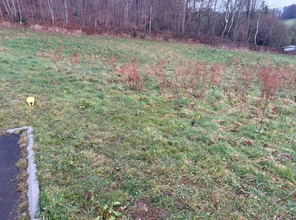 Aed - Buildable Plot with Garden in Fréville