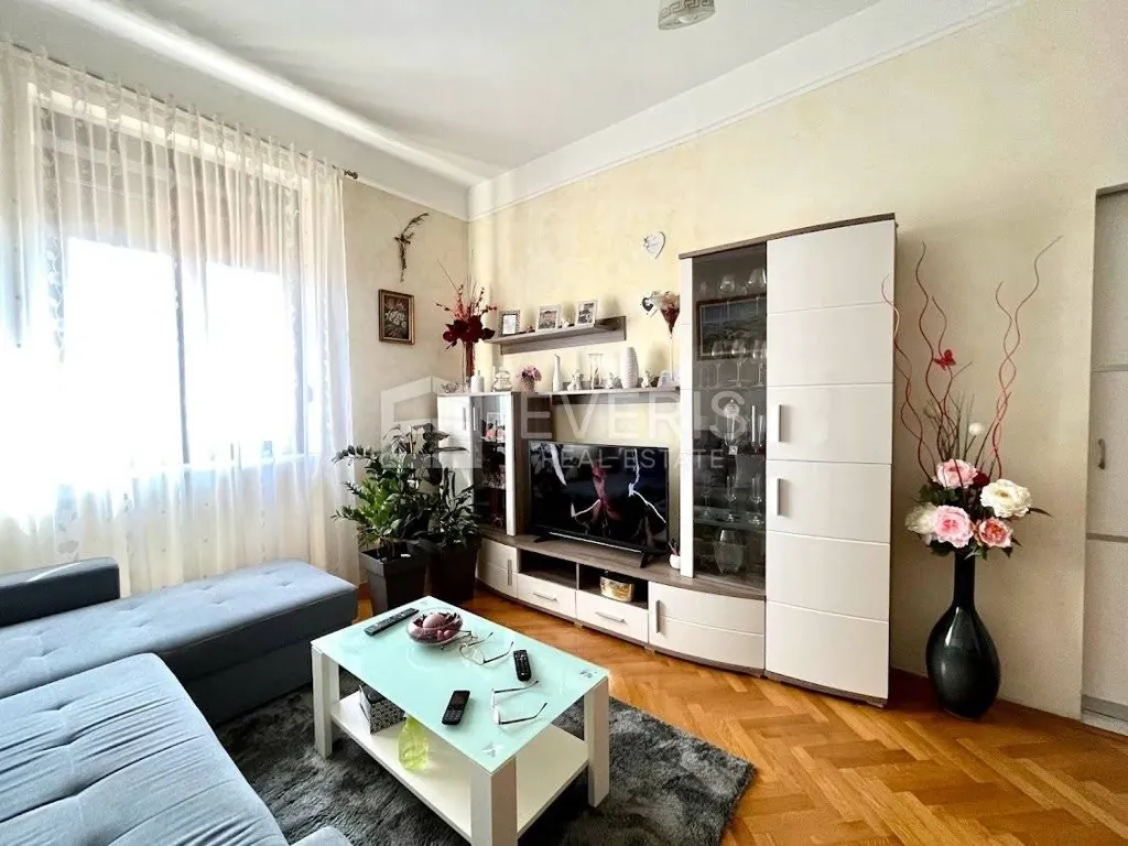 Séjour - Apartment with Terrace in Kastav Centre