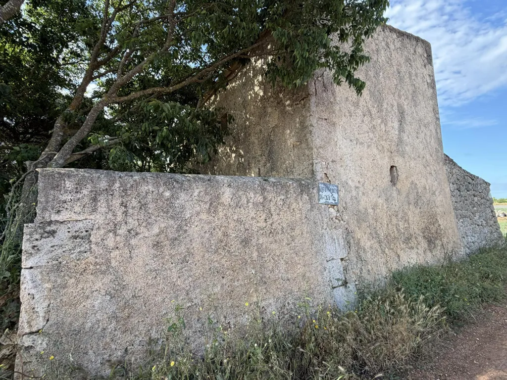 Exterior - Rustic Plot with Development Potential in Manacor