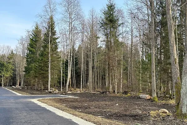 Extérieur - Terrain à Harku vald