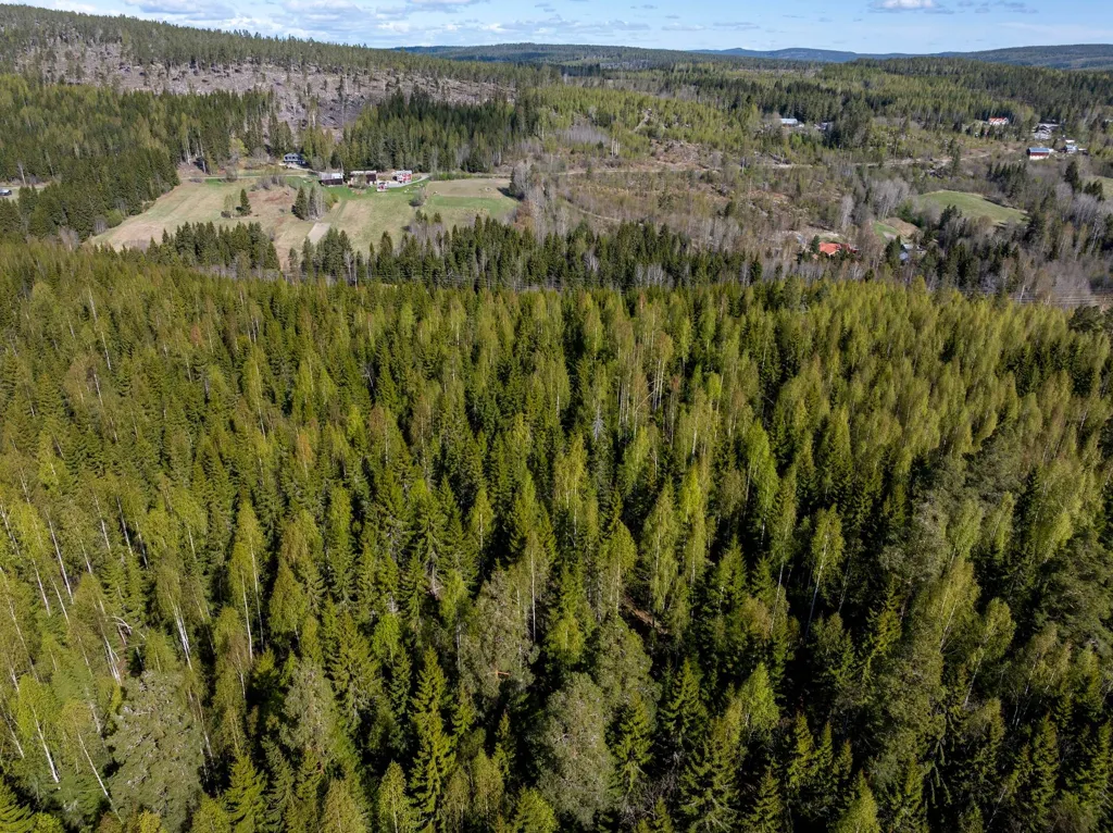 Vista aerea - Unbuilt Land with Forest in Sundsvall