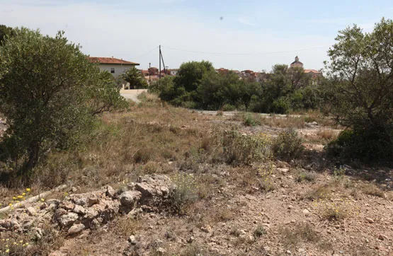 Aed - Urban Plot with Road Access in Mont-Roig del Camp