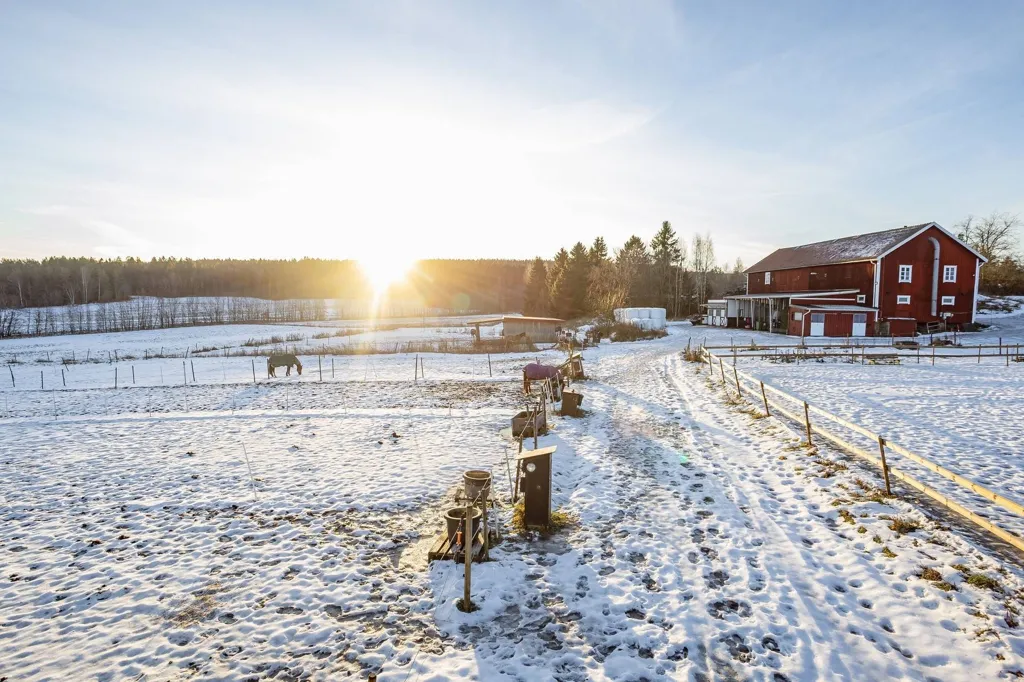 Garden - Well-Maintained Farmhouse with Stables in Västernorrland