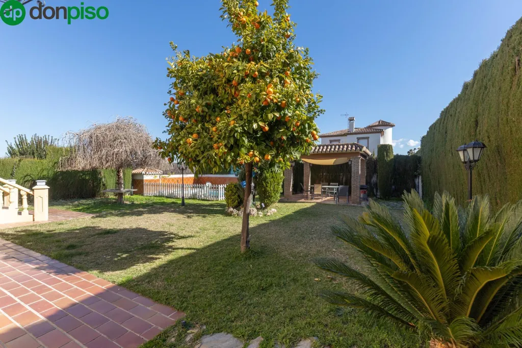 Jardin - Luxury Detached House with Pool in Zubia