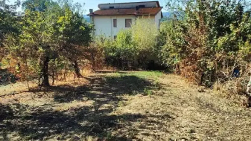 Aed - Villa with Fienile in Figline e Incisa Valdarno
