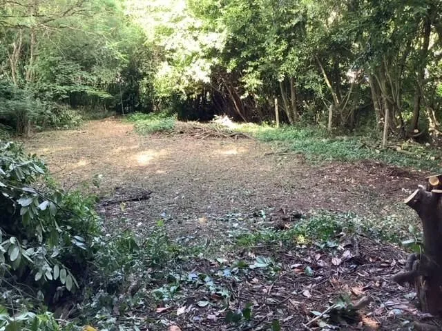Jardin - Maison de Caractère avec Vue sur Rivière à Guémené sur Scorff