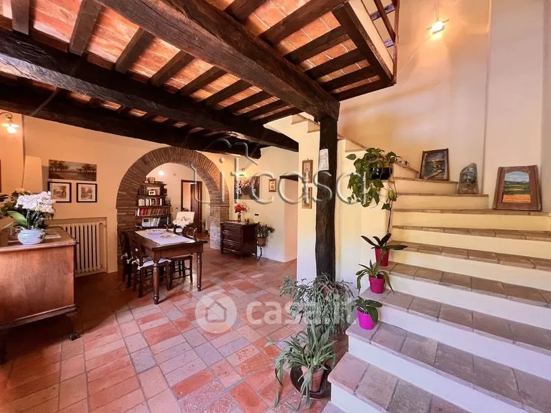 Elutuba - Rustic Tuscan Casale with Olive Grove in Anghiari