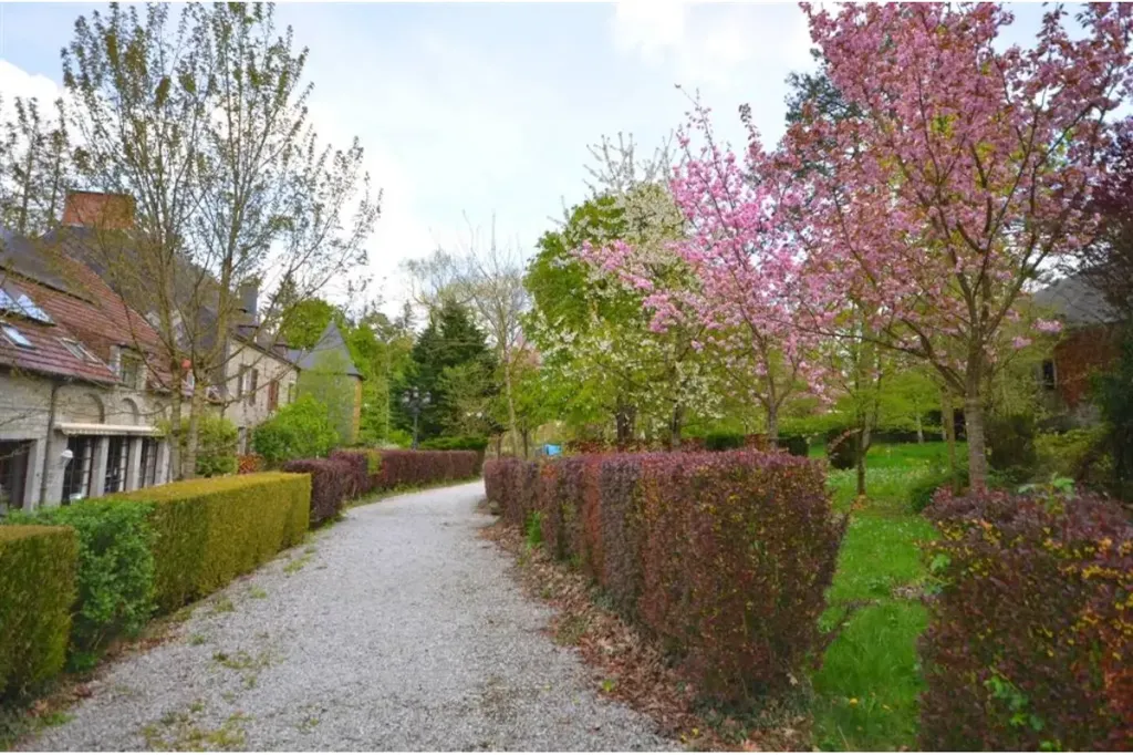 Aed - Historic Manor with Park in Géronsart