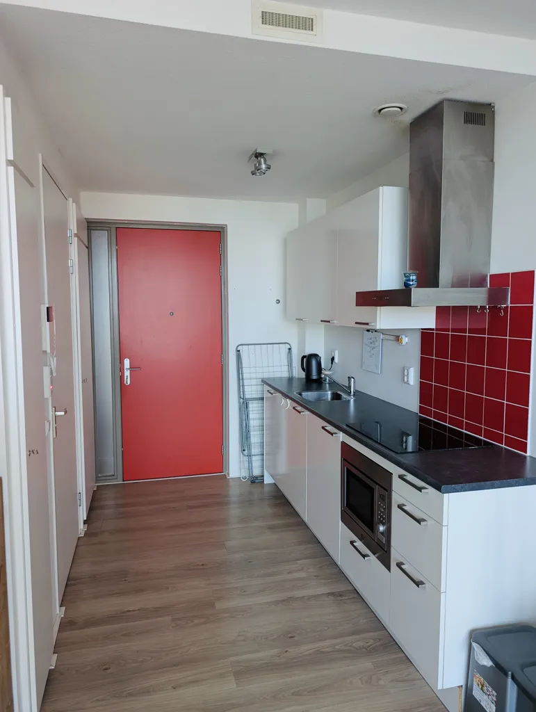 Cucina - Studio Near Erasmuspark with Utilities Included