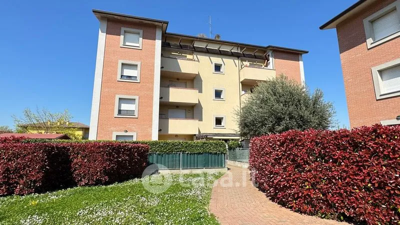 Jardin - Triplex with Terrace in Medicina