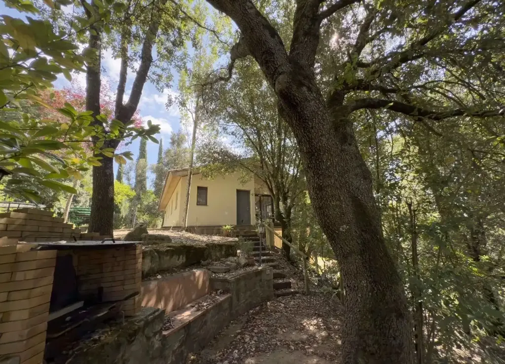 Aed - Chalet with Private Forest in Sant Aniol de Finestres