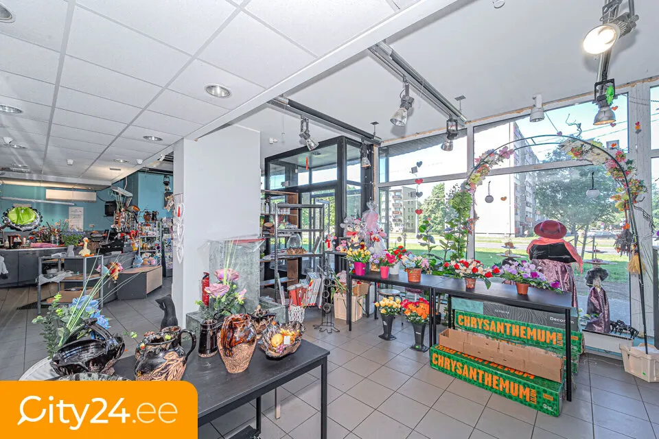 Toad - Retail Unit with Large Windows in Mustamäe