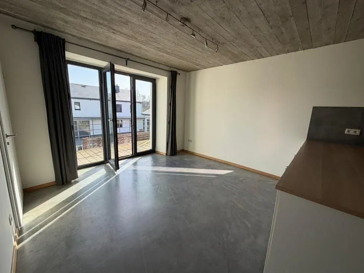 Toad - Spacious Flat with Terrace in Houffalize