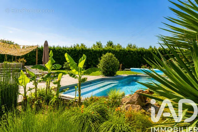 Pool - House with Pool and Garden in Lacourt-Saint-Pierre