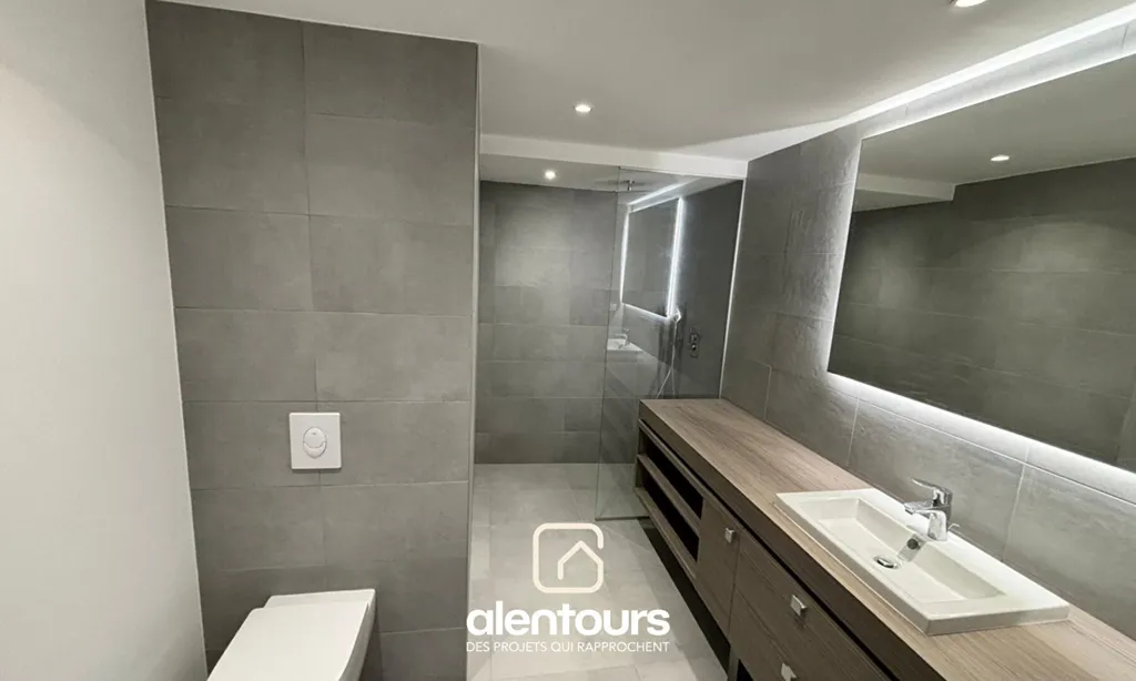 Salles de bain - Studio avec Terrasse Vue Lac à Chaumousey