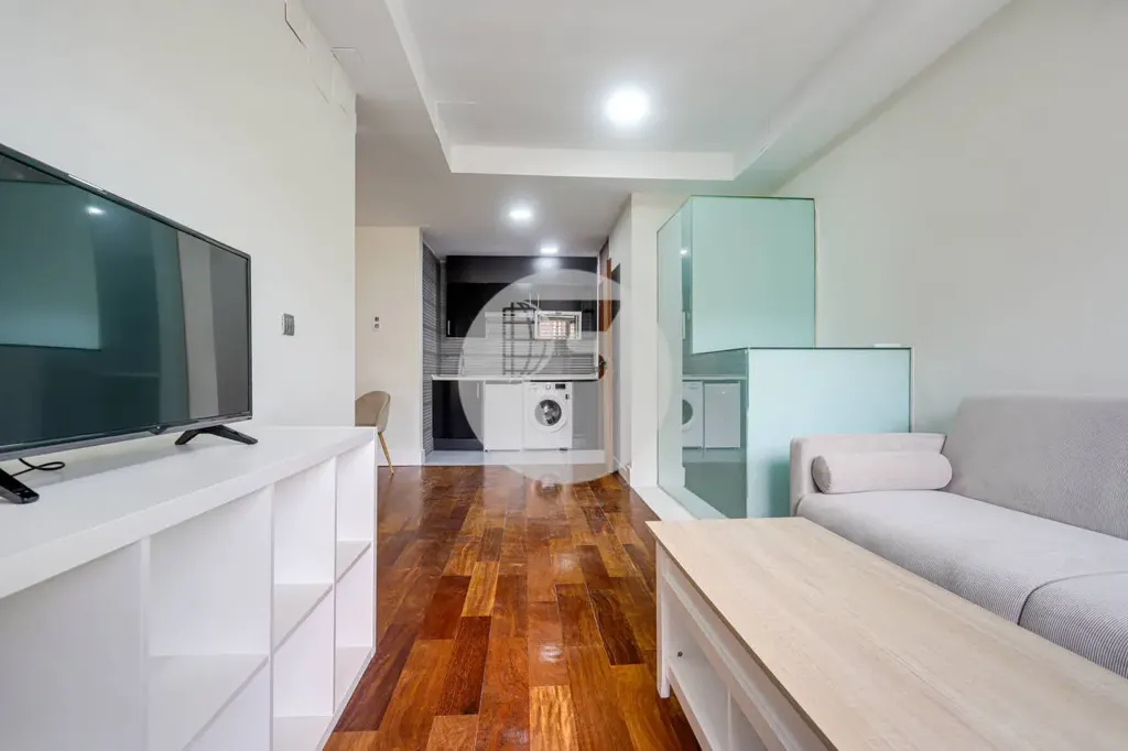 Elutuba - Renovated Duplex with Two Entrances in Guindalera