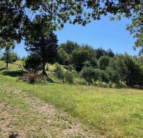Jardin - Rustic Property with Panoramic Views in Peglio