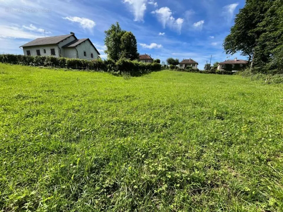 Garden - Sunny Plot with Woodland View in Roannes-Saint-Mary