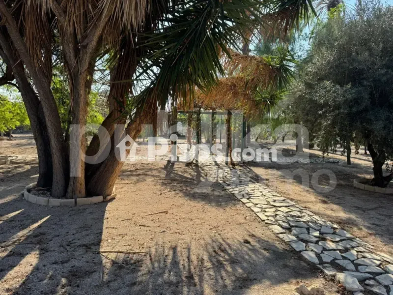 Jardin - Historic Villa with Archaeological Setting in Elche