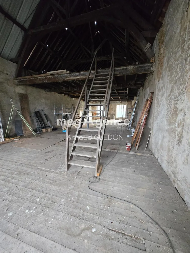 Toad - Spacious Flat with Development Potential near La Flèche