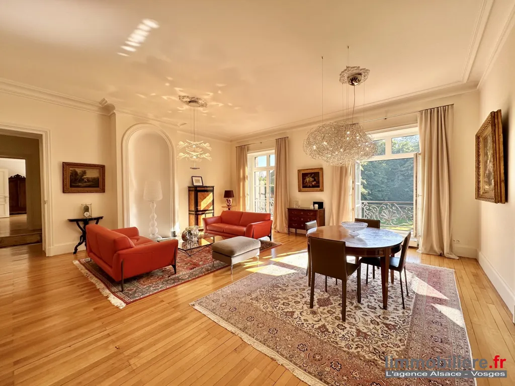Soggiorno - Luxury Flat with Park Views in Saint-Dié-des-Vosges