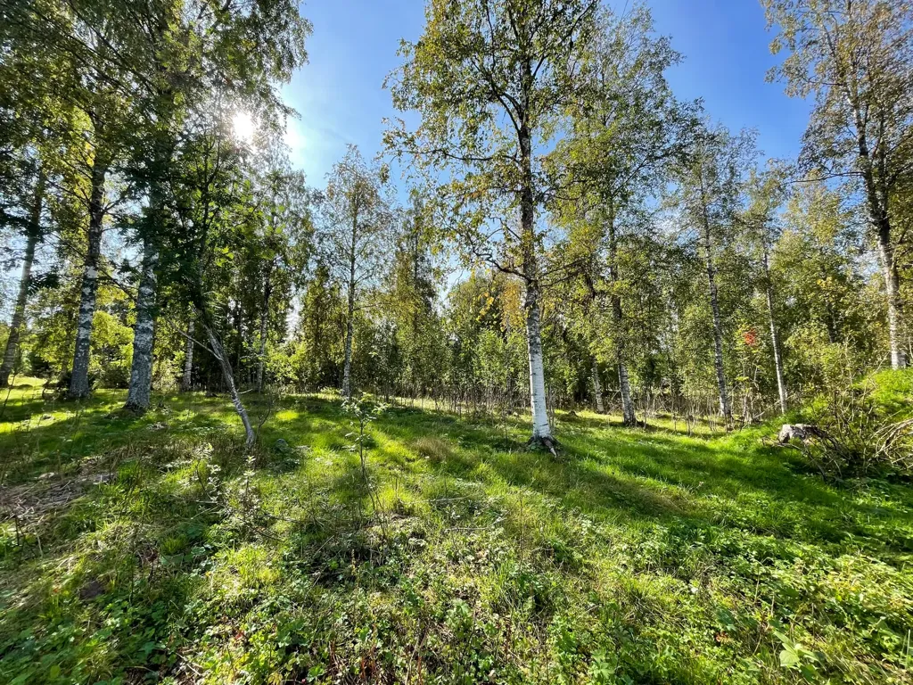 Aed - Villa Plot with Scenic Views in Älvdalen