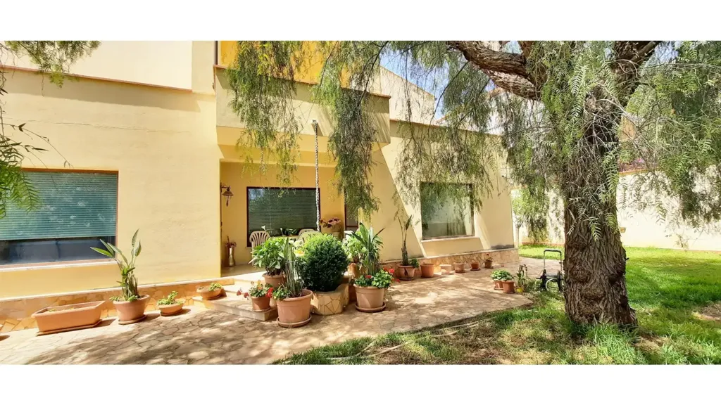 terrace_patio