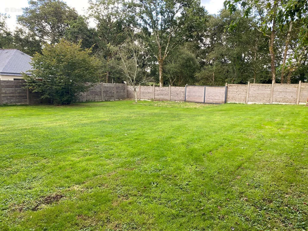 Jardin - Terrain Constructible Arboré à La Trinité-surzur
