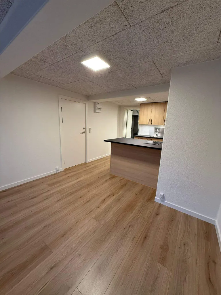 Séjour - One-Bedroom Flat in Frederikshavn