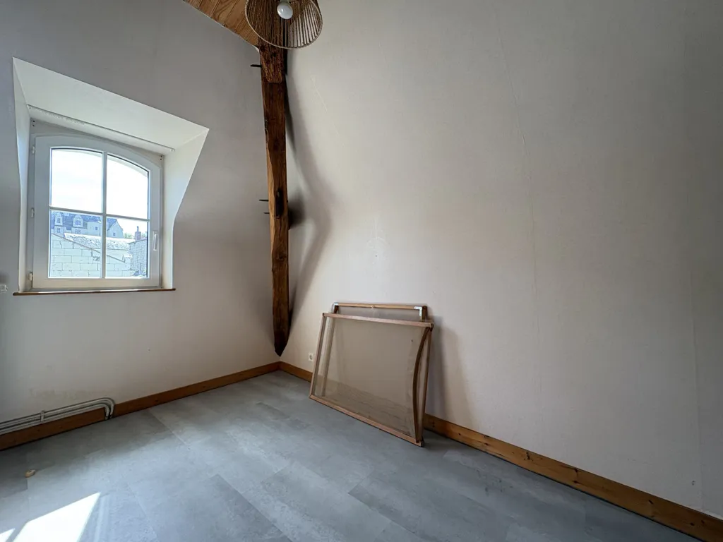 Toad - Charming House with Loire View in Candes-Saint-Martin