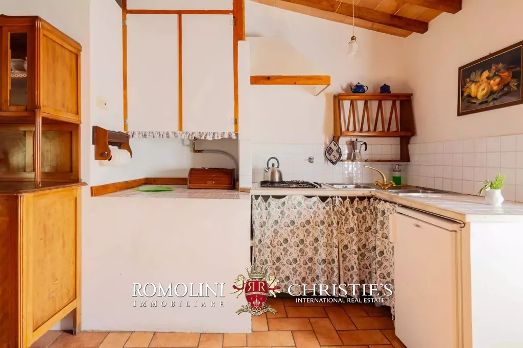 Kitchen - Villa with Vineyard and Pool near Florence