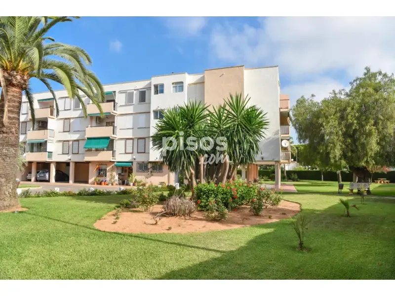 Garden - Beachfront Apartment in El Arenal, Xàbia