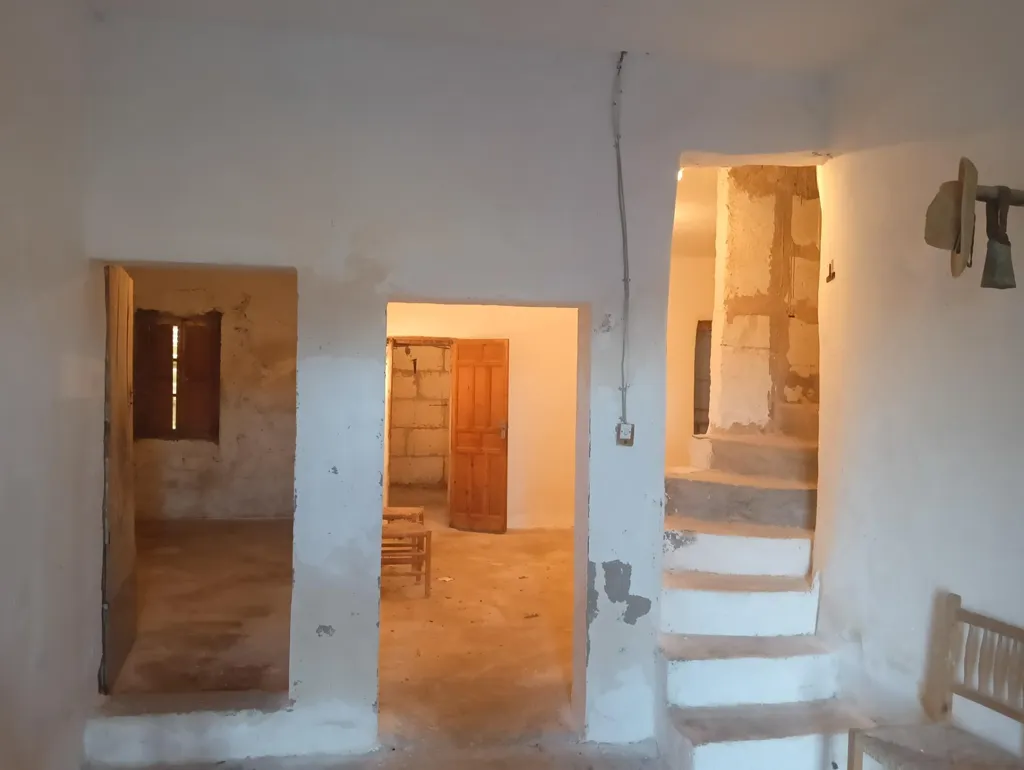 Toad - Luxury Farmhouse with Well in Manacor