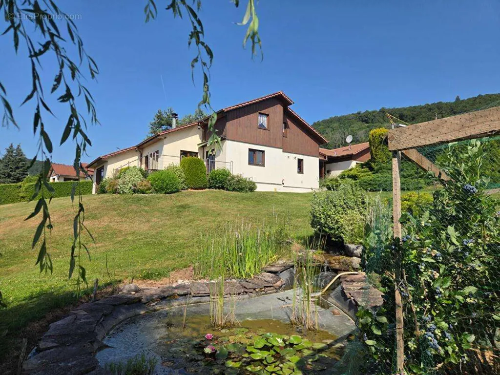 Jardin - Maison d'Architecte avec Vue Panoramique à Saint-Nabord