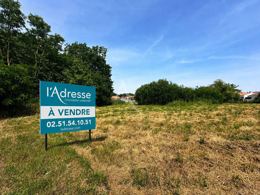 Jardin - Terrain à Bâtir à Saint-Révérend, Proche Plages
