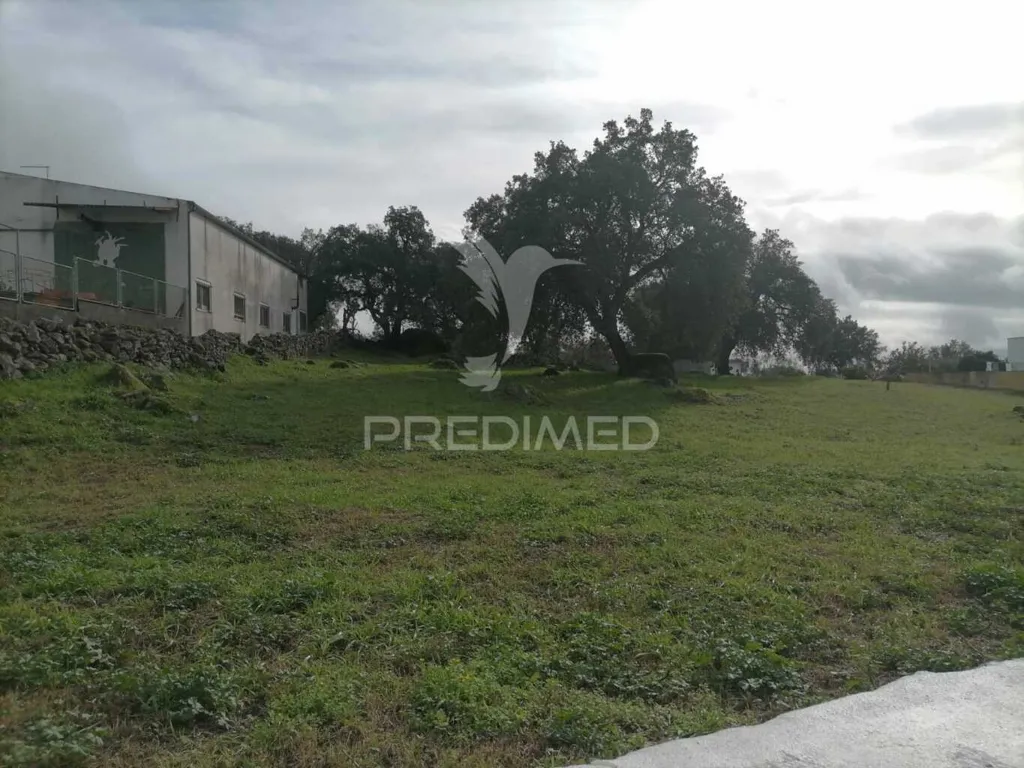 Aed - Plot for Construction in Alagoa