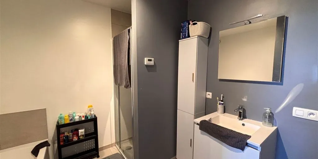 Vannitoad - Modern Flat with Terrace in Aalst