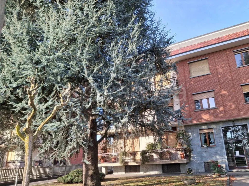 Extérieur - Rustic-Style Apartment with Mountain View in Orbassano