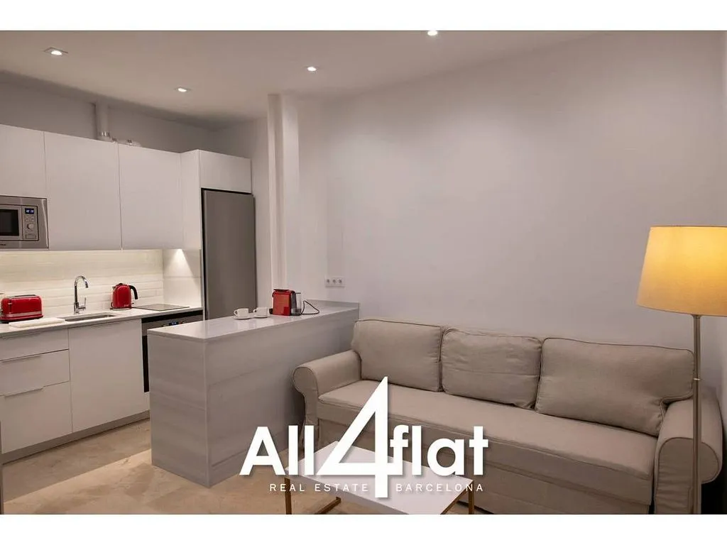 Elutuba - Studio with South Orientation in Sant Pere, Barcelona